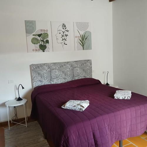 Room Garden