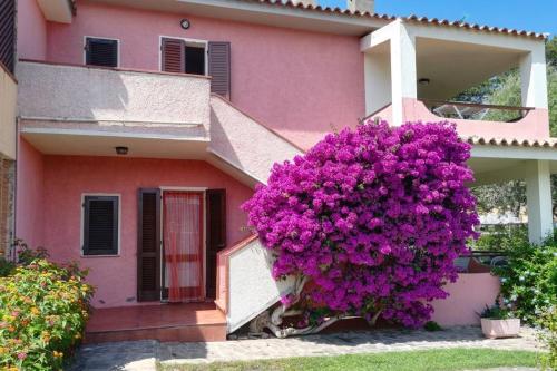 Appartamento La Terrazza - Arzachena