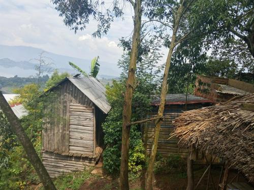 Sunshine Homestay Experience Bunyonyi - image 2