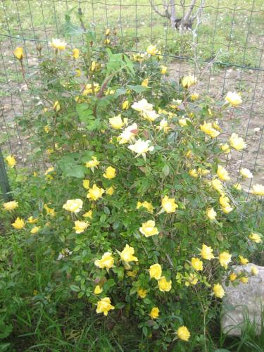 La Casa Blu gîte à louer Hauts-de-Seine