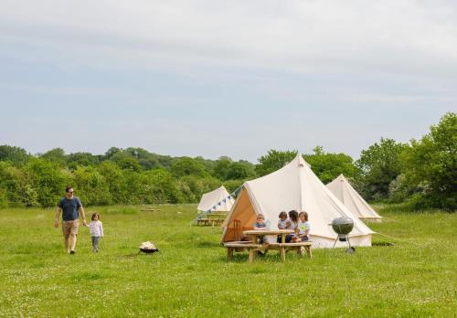 Daisy at Blancas Bell Tents, Ringstead