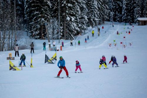 Dorf-Chalets Filzmoos mit Sauna