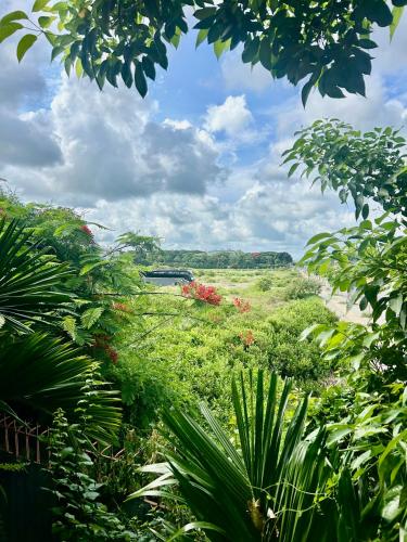 Homestay Xanh Xanh in Thang Nhat