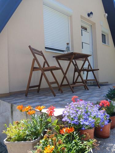 Exterior view, Vila SVITAC Banja Vrujci in Berkovac