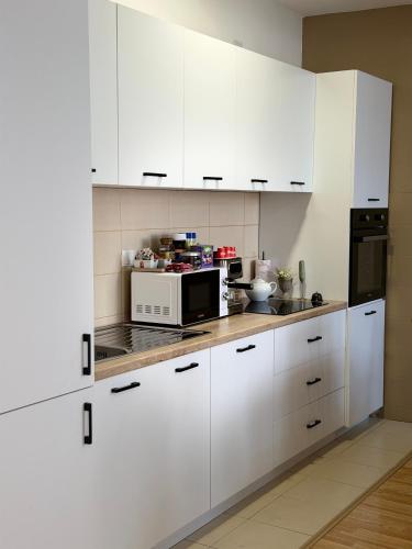 Cozy Central Apartment in Dakovica