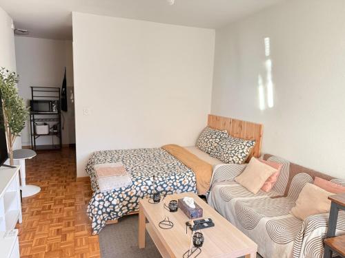 Studio charmant centré à Lausanne