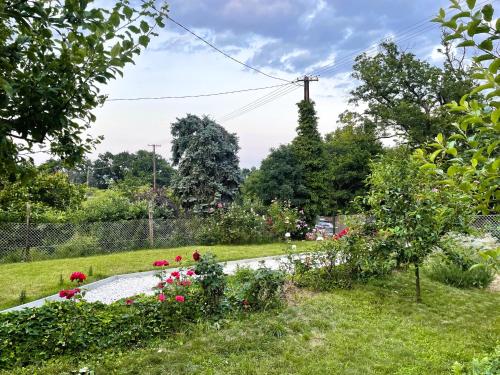 Garden, Az erdo melyen, a falu szelen in Balatonalmadi