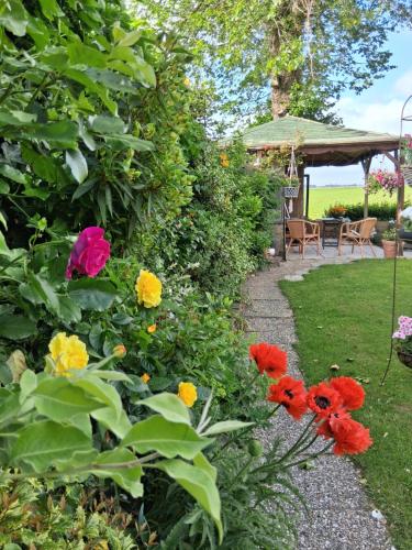 Familie Postma B&B Anjum in Dongeradeel