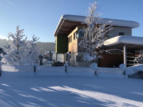 Designferienhaus Altenmarkt Zauchensee