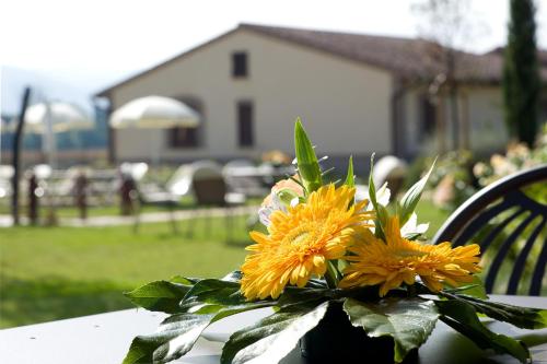 Agriturismo Le Rondini Di Francesco Di Assisi - image 6