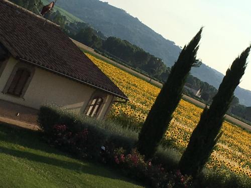 Agriturismo Le Rondini Di Francesco Di Assisi - main image