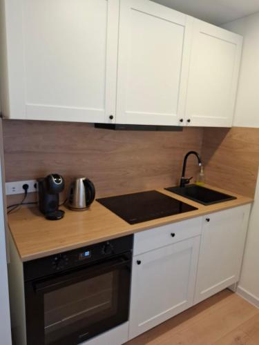 Levanda apartment in Visaginas