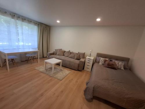 Levanda apartment in Visaginas