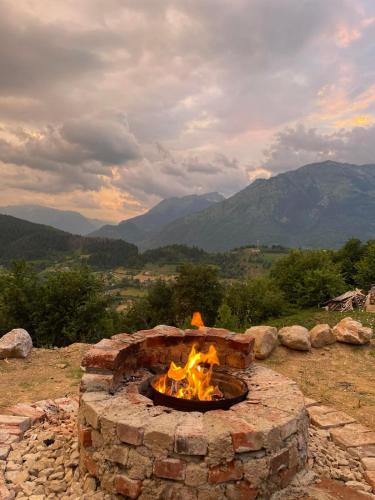 Prokletije Alpine Cottage in Plav