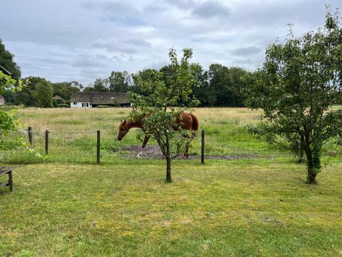 Broeders Stay in De Moer
