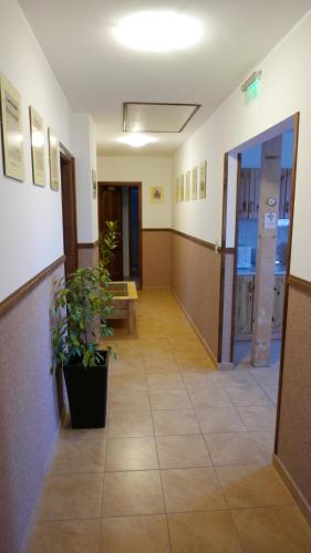Paulay Borház és Vendégház - image 10