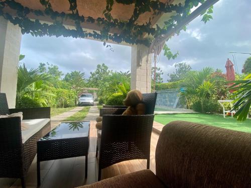 SenpaTiC Garden in Les Cayes