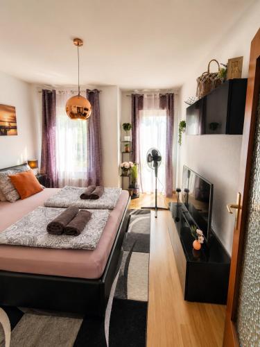 Comfortable Apartment on Elbe River in Dresden, Deutschland