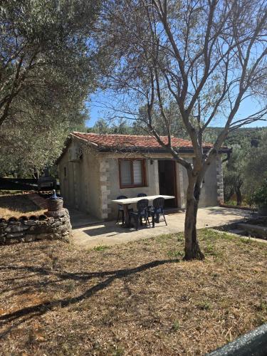 Olive stone house, Ulcinj