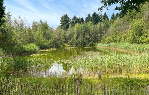 Діяльність, Pet Friendly Home In Rijssen With Wifi in Рійсен