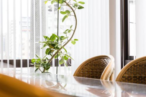 ロビー, ELE Hotel 仙台東口 near 仙台七夕花火