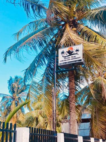 Seadmed, Ume Kelapa in Oenggaut