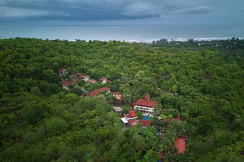 Golden Tulip Goa Mandrem, Mandrem