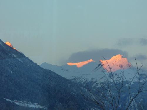 FerienFuchs FerienFuchs