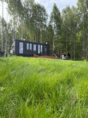 Aurora Forest Cabin in Ylikyla