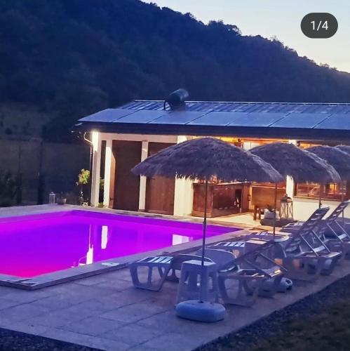Pooltopia holidayhome go2bihac