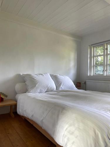 Guest house Æbelnæs, Møn in Damsholte