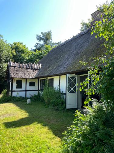 Guest house Æbelnæs, Møn in Damsholte