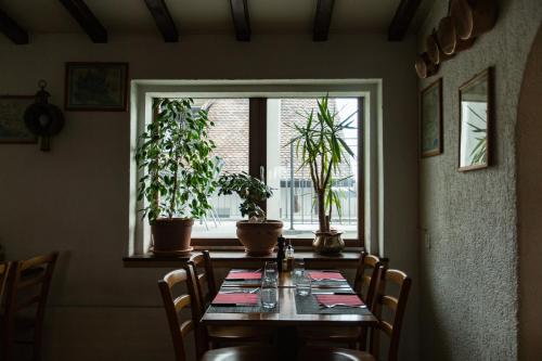 Motel Le Léman - image 13