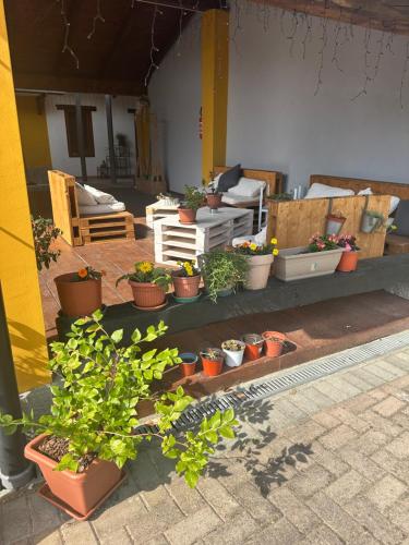 Vybavení, La Casa Dei Fiori in San Maurizio Canavese