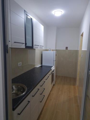 Apartmani Mićo (Apartmani Mico) in Niksic