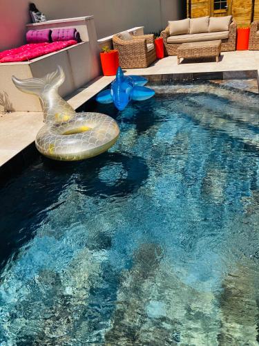 Maison avec piscine près Avignon et Mont-Ventoux - Location, gîte - Carpentras