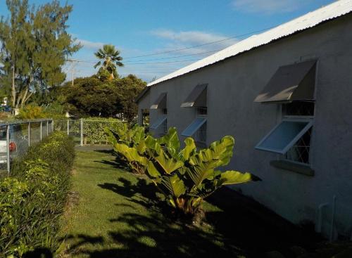 Unique Bungalow in Wildey