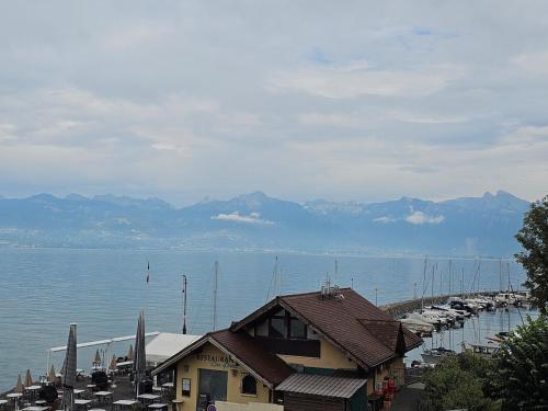 Lake View Lakefront Beach Lake Geneva Geneva Paddle in Meijerī