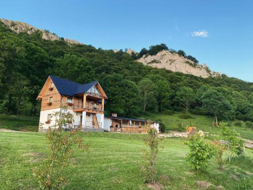 Căsuța Anei (Casuta Anei) in Valea Manastirii