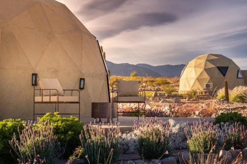 Glamping Astrapia - Cafayate