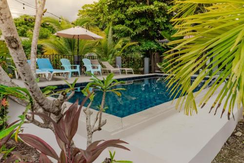 Rooms & Pool Macaws, Uvita