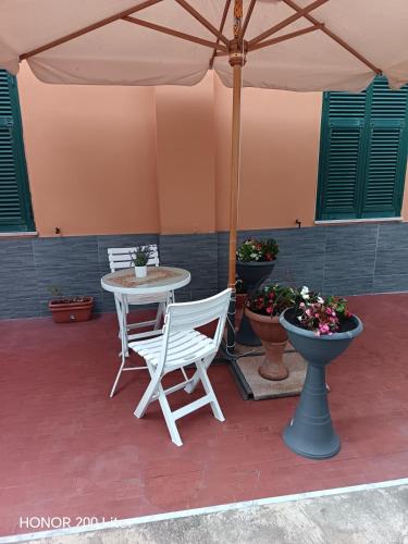 The Dream in Marina di Carrara