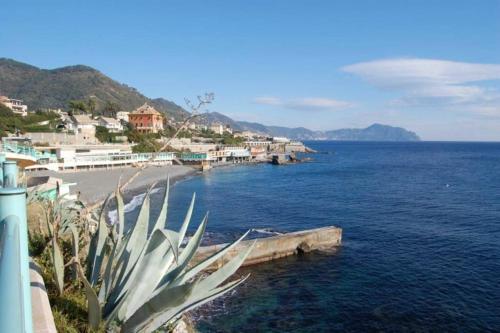 Gaslini vicinissimo - Casa dello Zio 5
