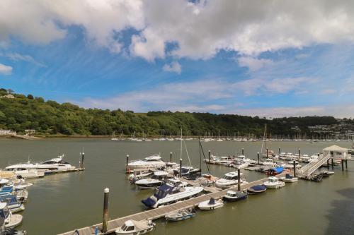 22 Dart Marina - image 3