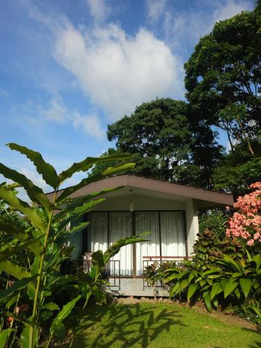 Yellow Tree Suites, Fortuna
