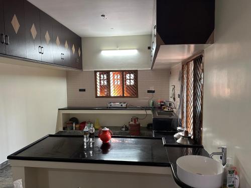 Konyha, Peaceful green farm house in Mannargudi