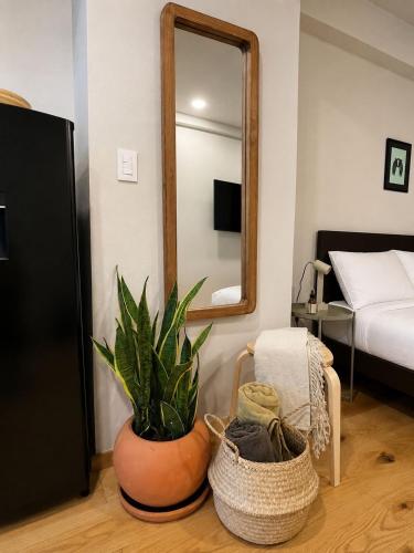 Chic Loft in Roma Norte – Near Condesa - image 2