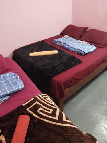 Grand Backpackers Hostel Luxor - main image