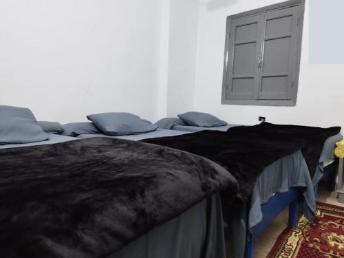 Grand Backpackers Hostel Luxor - image 4