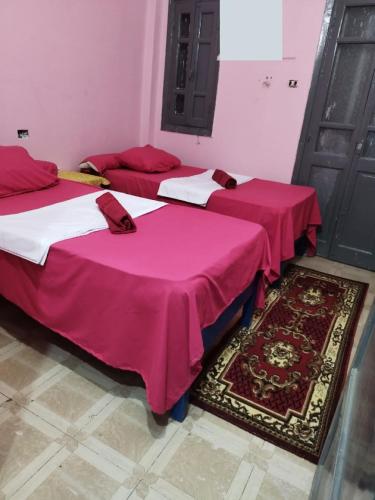 Grand Backpackers Hostel Luxor - image 9